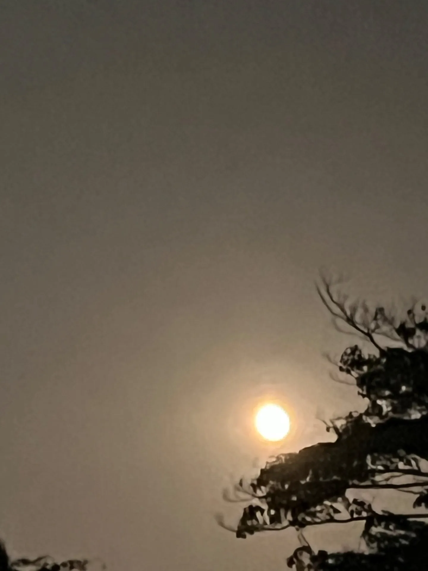 メンヘラについて【横浜市 Senagy Therapy セナジーセラピー】