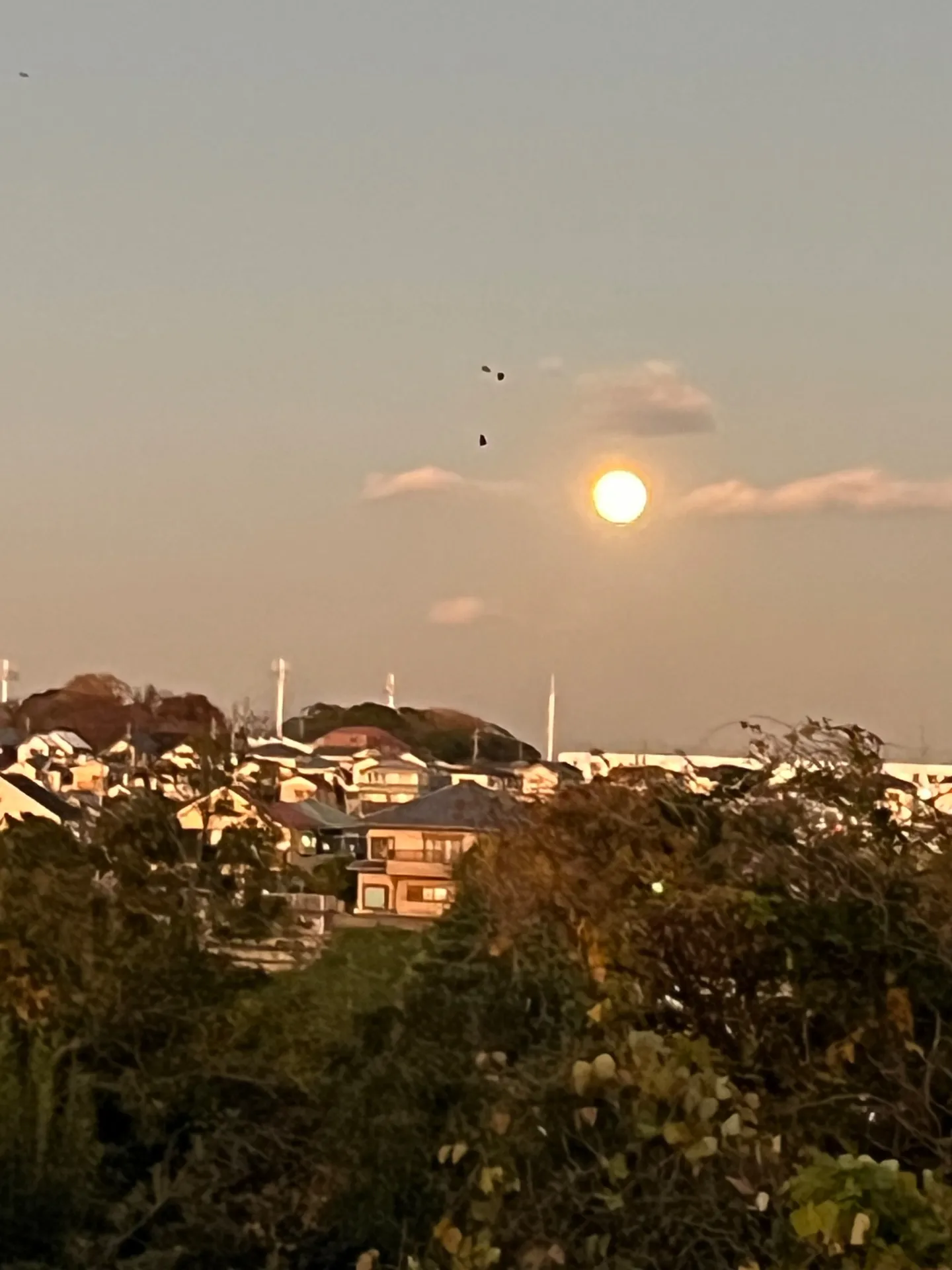 大河ドラマ「べらぼう」【横浜市 Senagy Therapy セナジーセラピー】