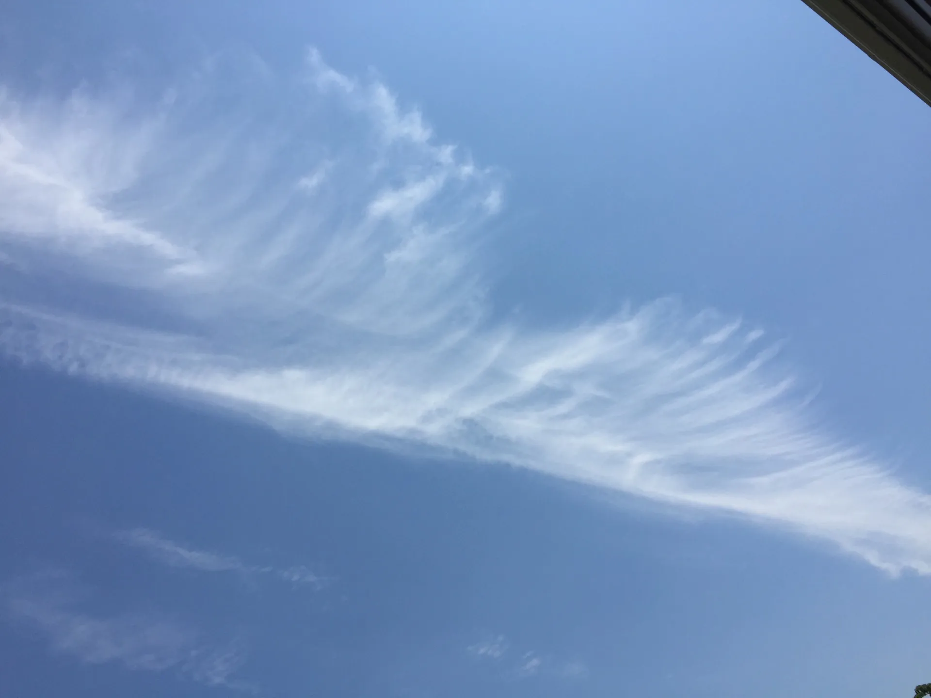 横浜市 Senagy Therapy